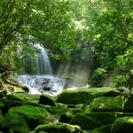 Rainforest travel spots for biodiversity