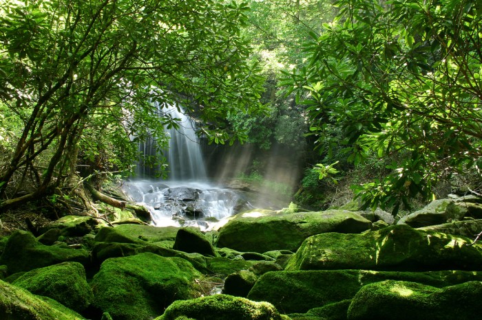 Rainforest travel spots for biodiversity